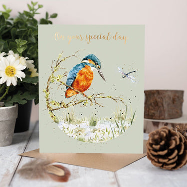 Wrendale Designs 'Pond Dipping' Kingfisher Birthday Card| Online For Equine
