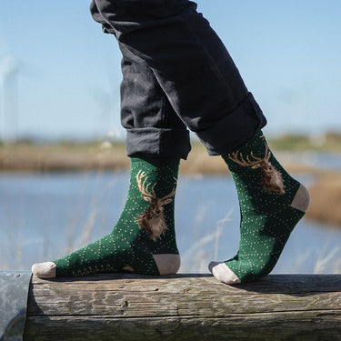 Wrendale Designs 'Portrait Of A Stag' Stag Men'S Socks| Online For Equine