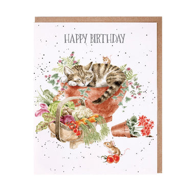 Wrendale Designs 'Purrrfect Birthday' Cat Birthday Card| Online For Equine