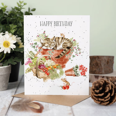 Wrendale Designs 'Purrrfect Birthday' Cat Birthday Card| Online For Equine