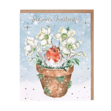 Wrendale Designs 'Season'S Tweetings' Robin Christmas Card Pack| Online For Equine