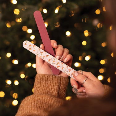 Wrendale Designs 'Season'S Tweetings' Robin Christmas Nail File| Online For Equine