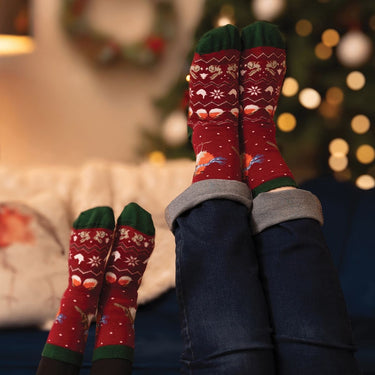 Wrendale Designs 'Season'S Tweetings' Robin Men'S Socks| Online For Equine