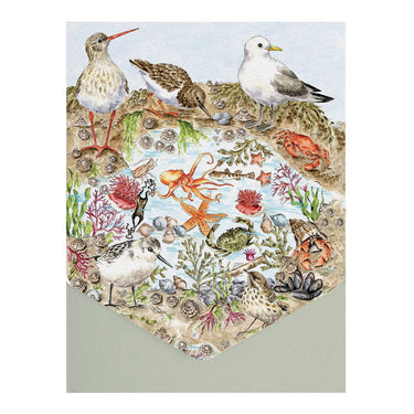 Wrendale Designs 'Secrets Of The Sea' Nature Notecard Pack| Online For Equine