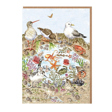 Wrendale Designs 'Secrets Of The Sea' Nature Notecard Pack| Online For Equine