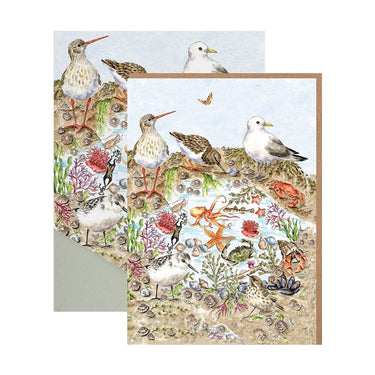 Wrendale Designs 'Secrets Of The Sea' Nature Notecard Pack| Online For Equine