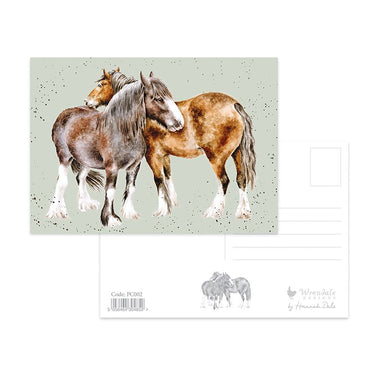 Wrendale Designs 'Side By Side' Horse Postcard| Online For Equine