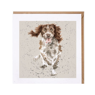 Wrendale Designs 'Skye' Springer Spaniel Card| Online For Equine