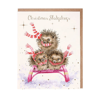 Wrendale Designs 'Sledgehogs' Hedgehog Christmas Card Pack| Online For Equine