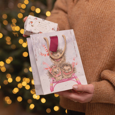 Wrendale Designs 'Sledgehogs' Hedgehog Small Gift Bag| Online For Equine