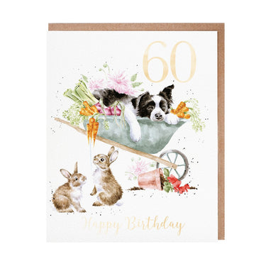 Wrendale Designs 'Sleeping On The Job' Collie 60Th Birthday Card| Online For Equine