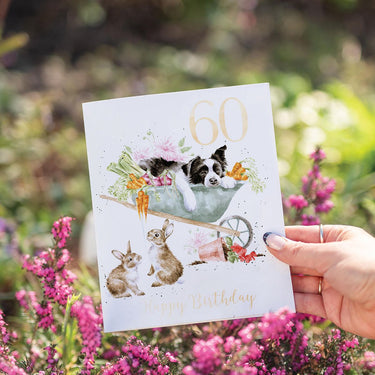 Wrendale Designs 'Sleeping On The Job' Collie 60Th Birthday Card| Online For Equine