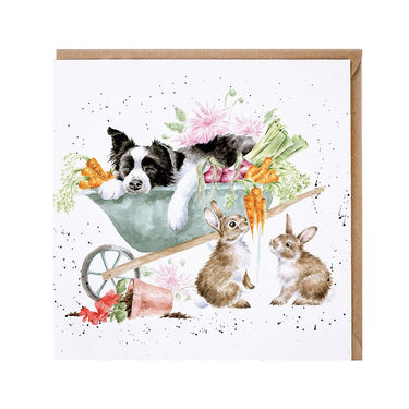 Wrendale Designs 'Sleeping On The Job' Collie And Rabbit Card| Online For Equine