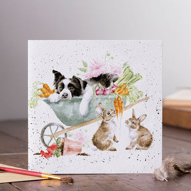Wrendale Designs 'Sleeping On The Job' Collie And Rabbit Card| Online For Equine