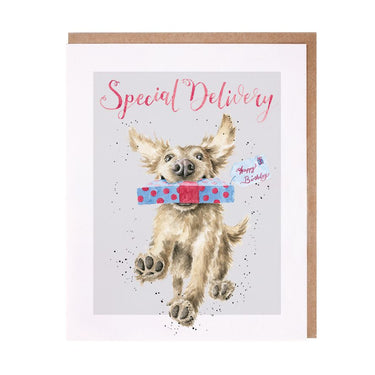 Wrendale Designs 'Special Delivery' Golden Retriever Birthday Card| Online For Equine