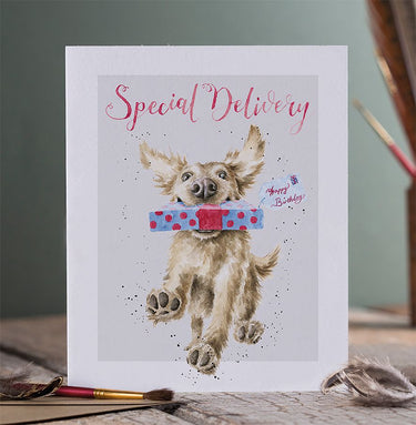 Wrendale Designs 'Special Delivery' Golden Retriever Birthday Card| Online For Equine