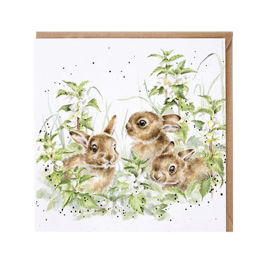 Wrendale Designs 'Spring Hares' Hare Card| Online For Equine