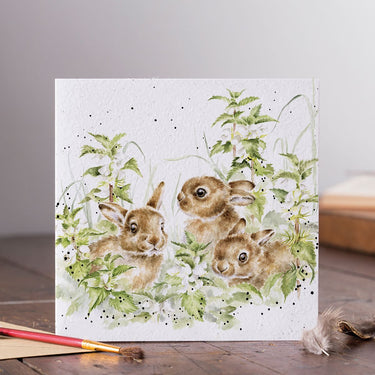 Wrendale Designs 'Spring Hares' Hare Card| Online For Equine