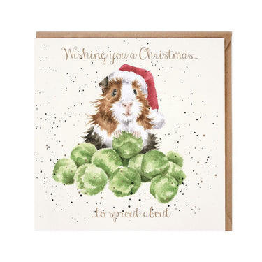Wrendale Designs 'Sprouts' Guinea Pig Christmas Card| Online For Equine