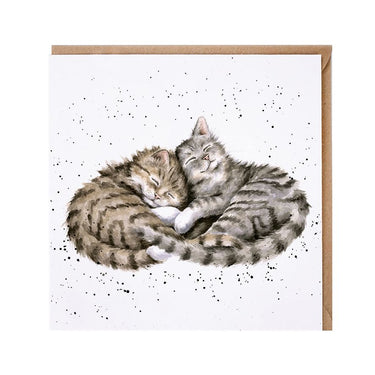 Wrendale Designs 'Sweet Dreams' Cat Card| Online For Equine
