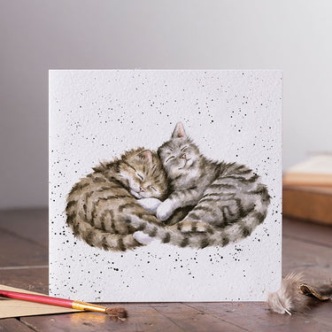 Wrendale Designs 'Sweet Dreams' Cat Card| Online For Equine