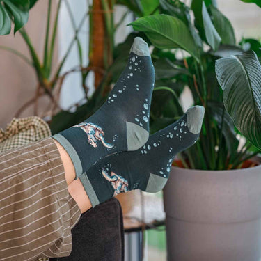 Wrendale Designs 'Swimming School' Turtle Socks| Online For Equine