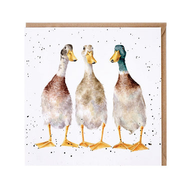 Wrendale Designs 'Tall Order' Duck Card| Online For Equine