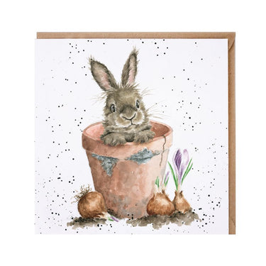 Wrendale Designs 'The Flower Pot' Rabbit Card| Online For Equine