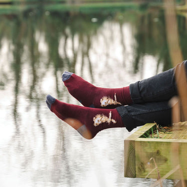 Wrendale Designs 'The Hare' Hare Men'S Socks| Online For Equine