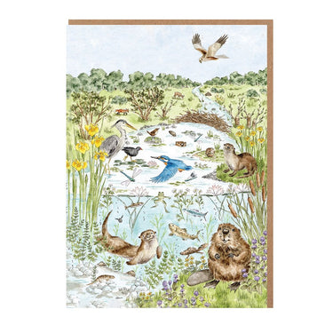 Wrendale Designs 'The Riverbank' Nature Notecard Pack| Online For Equine