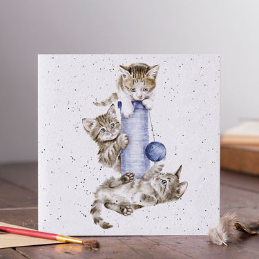 Wrendale Designs 'Three'S A Crowd' Cat Card| Online For Equine