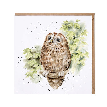 Wrendale Designs 'Treetops' Owl Card| Online For Equine