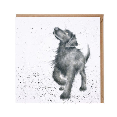 Wrendale Designs 'Walkies' Labrador Card| Online For Equine