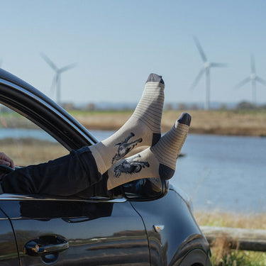 Wrendale Designs 'Walkies' Labrador Men'S Socks| Online For Equine