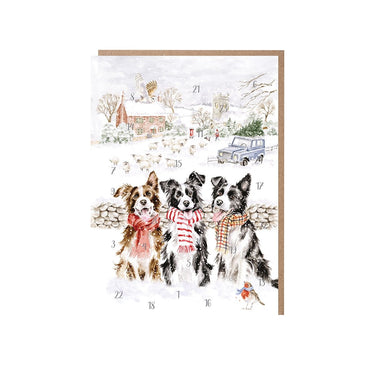 Wrendale Designs 'While Shepherds Watched' Border Collie Advent Calendar Card| Online For Equine