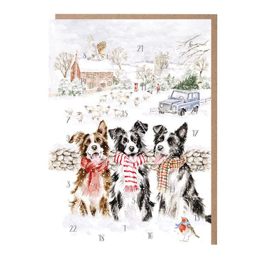 Wrendale Designs 'While Shepherds Watched' Border Collie Advent Calendar| Online For Equine