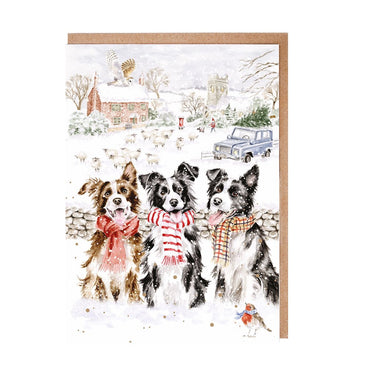Wrendale Designs 'While Shepherds Watched' Dog Christmas Card Pack| Online For Equine
