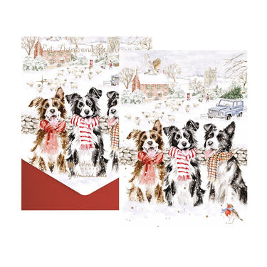 Wrendale Designs 'While Shepherds Watched' Dog Christmas Card Pack| Online For Equine