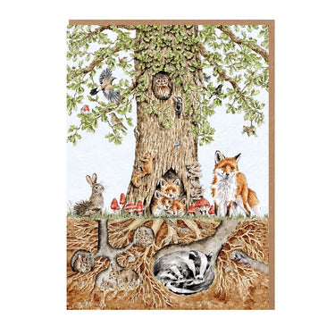 Wrendale Designs 'Wild Woodland' Nature Notecard Pack| Online For Equine