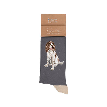 Wrendale Designs 'Willow' Spaniel Men'S Socks| Online For Equine