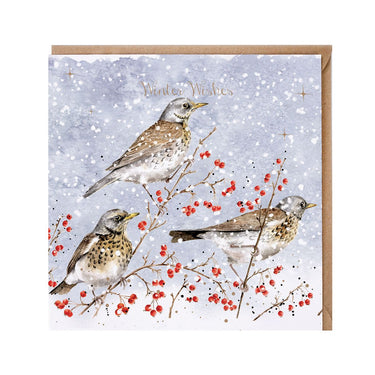 Wrendale Designs 'Winter Visitors' Fieldfares Christmas Card| Online For Equine