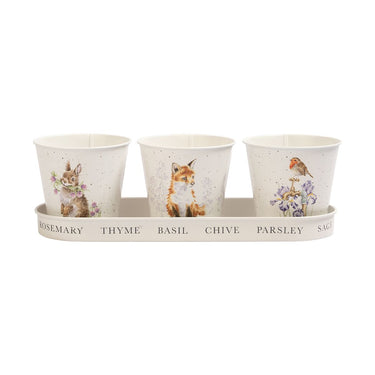 Wrendale Designs 'Woodland' Set Of 3 Herb Pots With Tray| Online For Equine