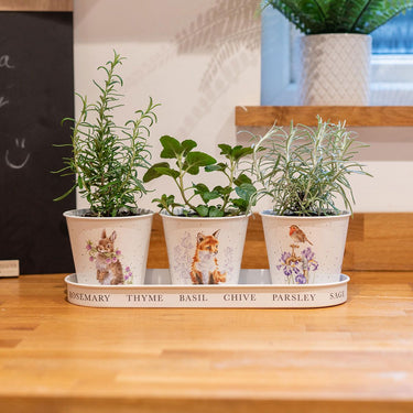 Wrendale Designs 'Woodland' Set Of 3 Herb Pots With Tray| Online For Equine