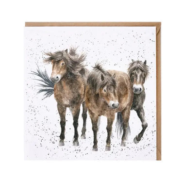 Wrendale "Three Amigos" Horse Miniature Card| Online For Equine