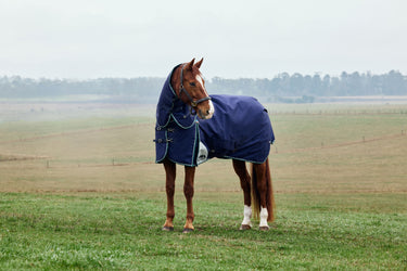 Weatherbeeta Comfitec Plus Dynamic Turnout Detach-A-Neck 100G Navy/ Forest Green