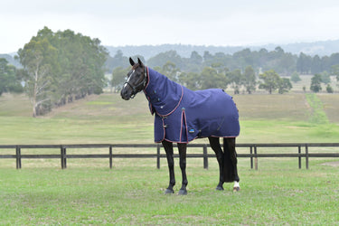 Weatherbeeta Comfitec Essential Turnout Detach-A-Neck 220G Navy/ Burgundy