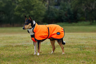 Buy Weatherbeeta Comfitec Reflective 300D Deluxe Showerproof Dog Coat Orange | Online for Equine