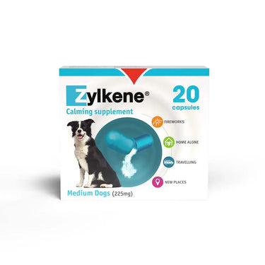 Zylkene Behavioural Support 20 caps| Online For Equine