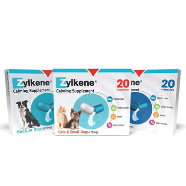 Zylkene Behavioural Support 20 caps| Online For Equine