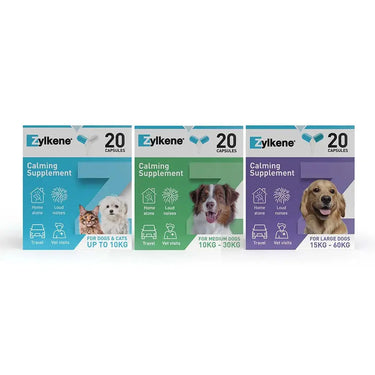 Zylkene Behavioural Support 20 caps| Online For Equine